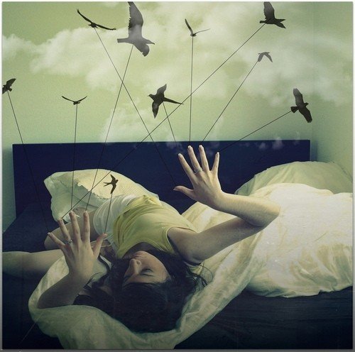 bed,birds,finger,girl,hands,puppet-54454222c4caf20ebab0e80a3c100815_h.jpg