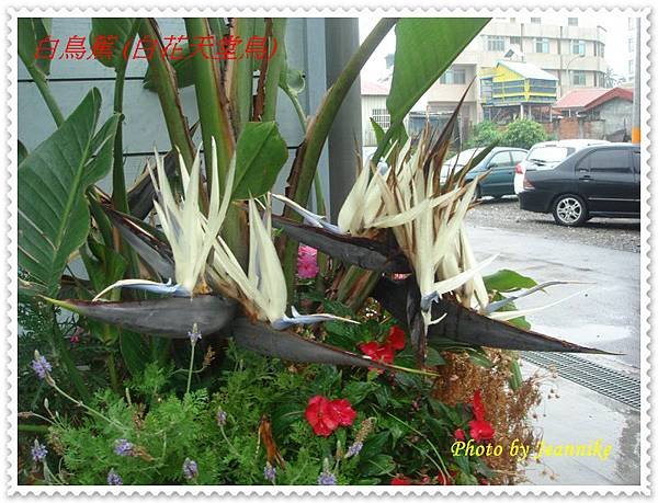 DSC06406