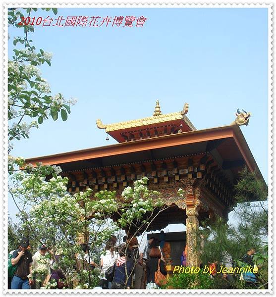DSC09265-crop.JPG