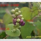 IMGP0260.JPG