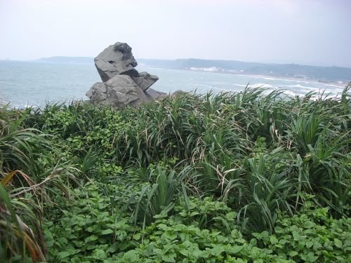 IMGP8783.JPG