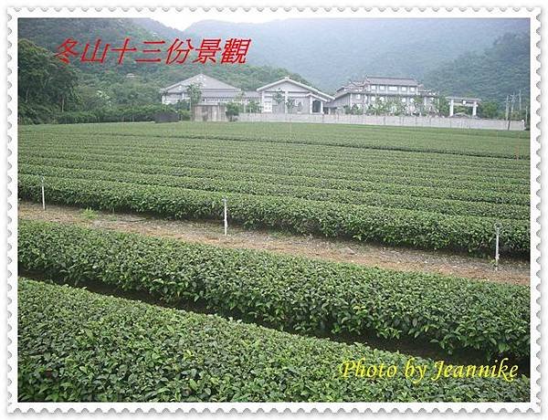 IMGP3099.JPG