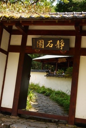 P1270339.JPG