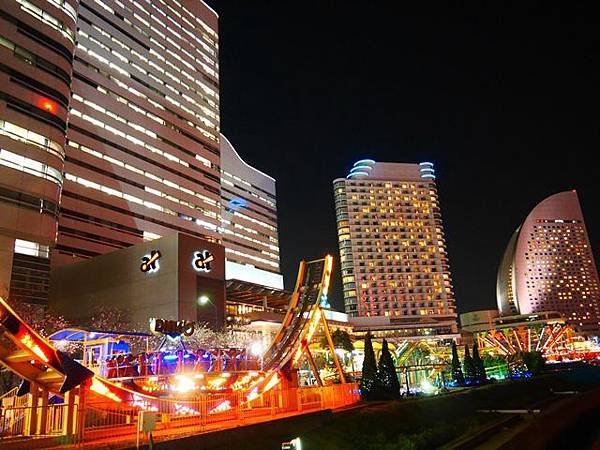 P1020671.JPG