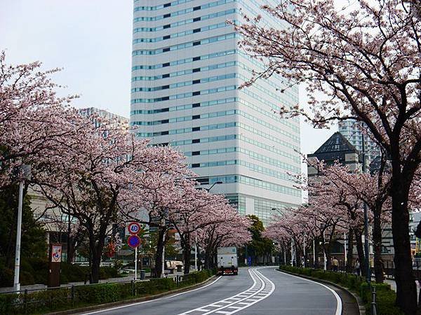P1020691.JPG
