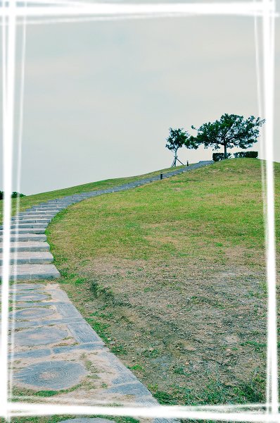 t020.jpg