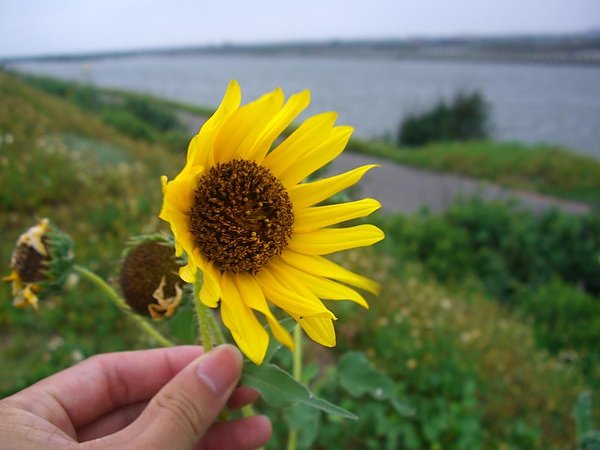 CIMG0332.JPG