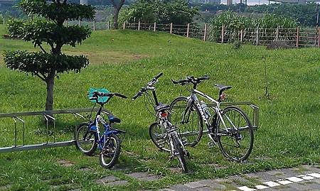 IMAG0277.jpg