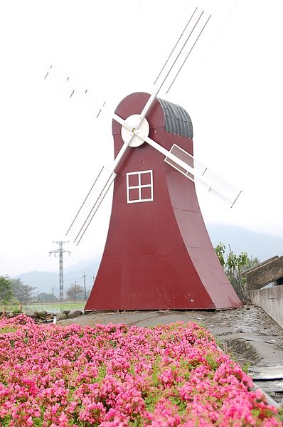 關山.池上花海