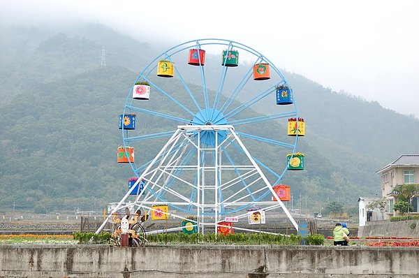 關山.池上花海