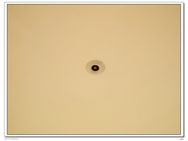 PB302156.JPG
