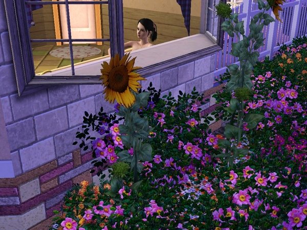 Screenshot-137.jpg