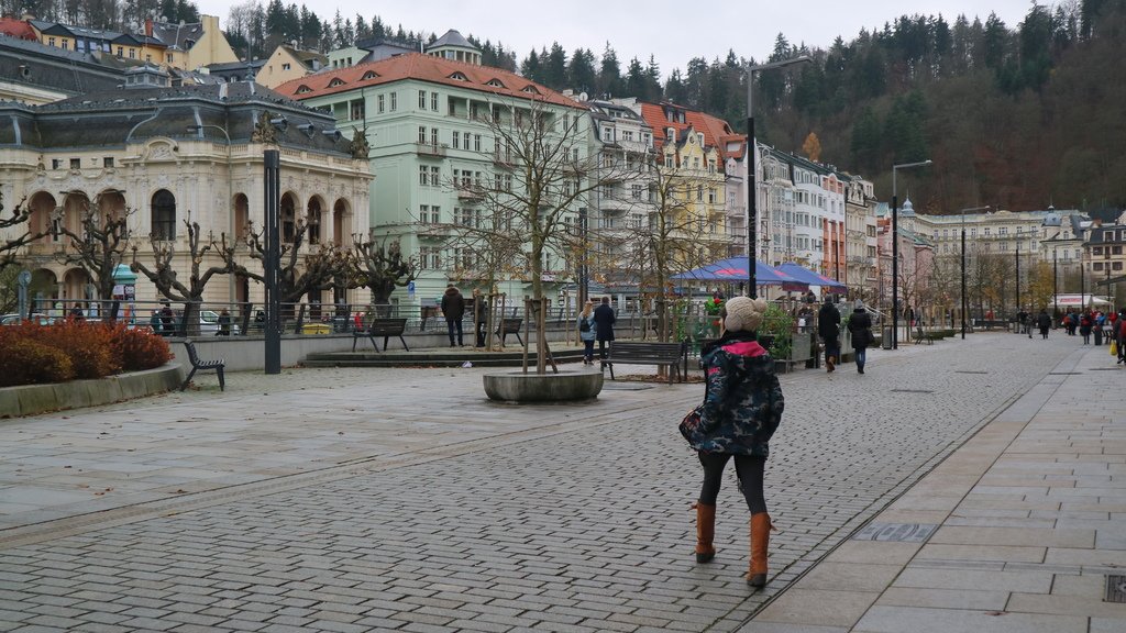 20171117 (120) 卡羅維瓦利(Karlovy Vary).JPG