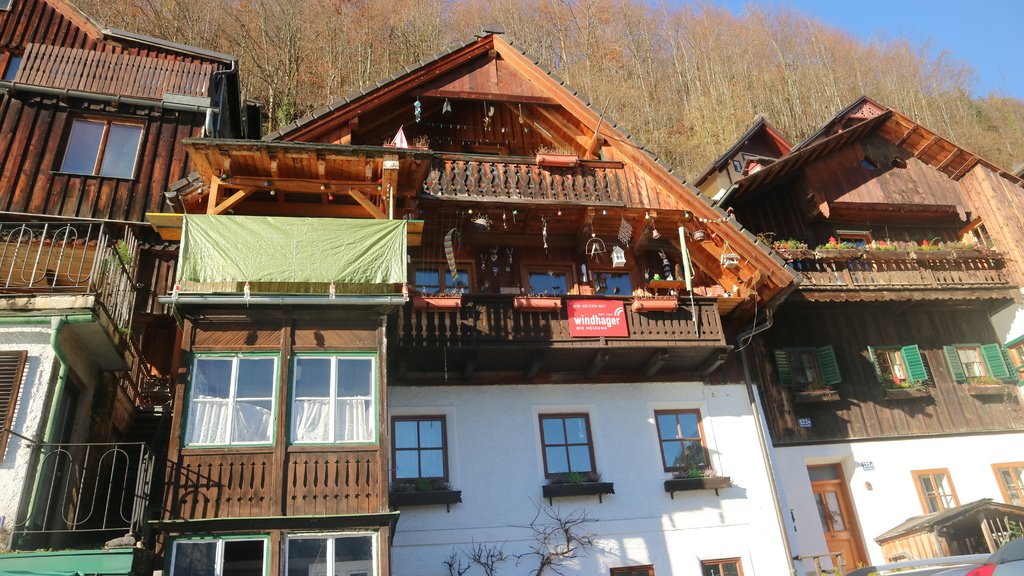 20171115 (81) 哈爾斯塔特(Hallstatt).JPG