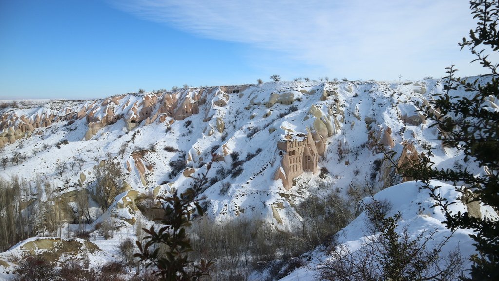 20190111 (122) 鴿子谷(Pigeon valley).JPG