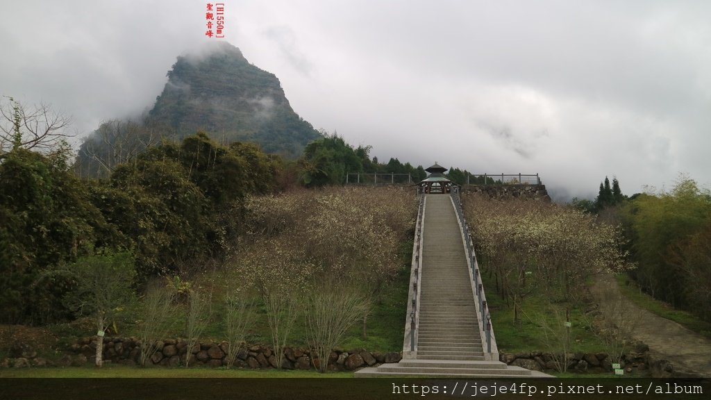 20190205 (210A) 眺望聖觀音峰 [H1500m].JPG