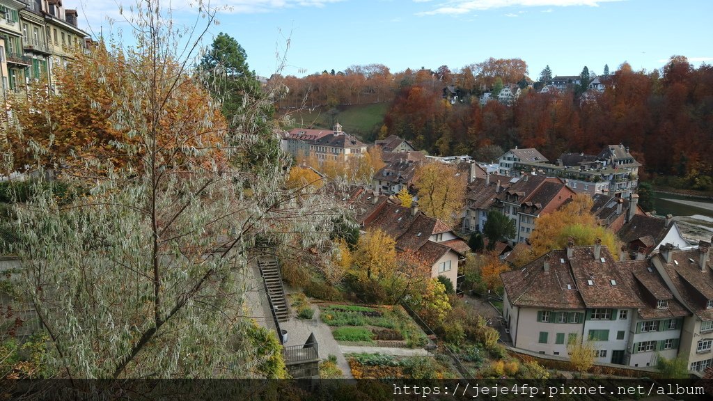 20181112 (122) 伯恩(Bern)的街景.JPG