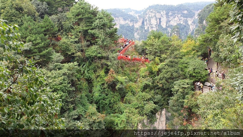 20190925 (350) 天下第一橋 [袁家界風景].jpg