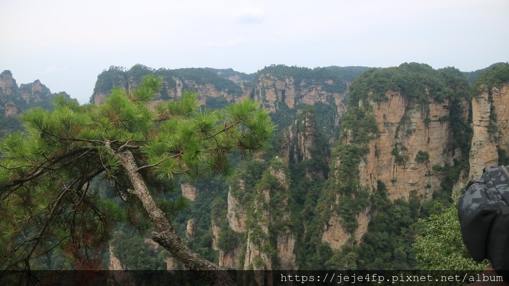 20190925 (346) 天下第一橋 [袁家界風景].JPG