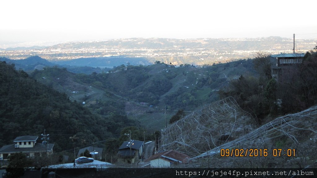 20160209 (22) 東坑路12.5km處 [俯瞰山坡上的梨園].JPG