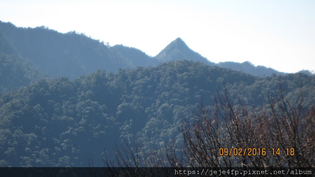 20160209 (85) 東坑路43km處 [由大雪山森林遊樂區遊客中心眺望 鳶嘴山].JPG