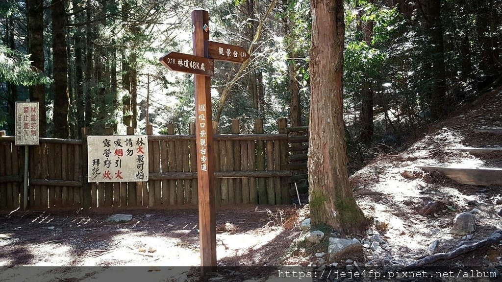 20160209 (104) 東坑路48km處 [大雪山森林遊樂區 (啞口觀景台步道入口)].jpg