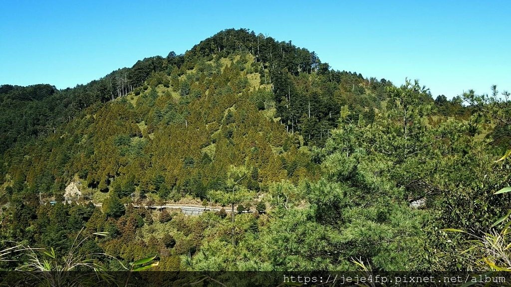 20160209 (105) 東坑路48km處 [由啞口觀景台步道眺望大雪山林道].jpg