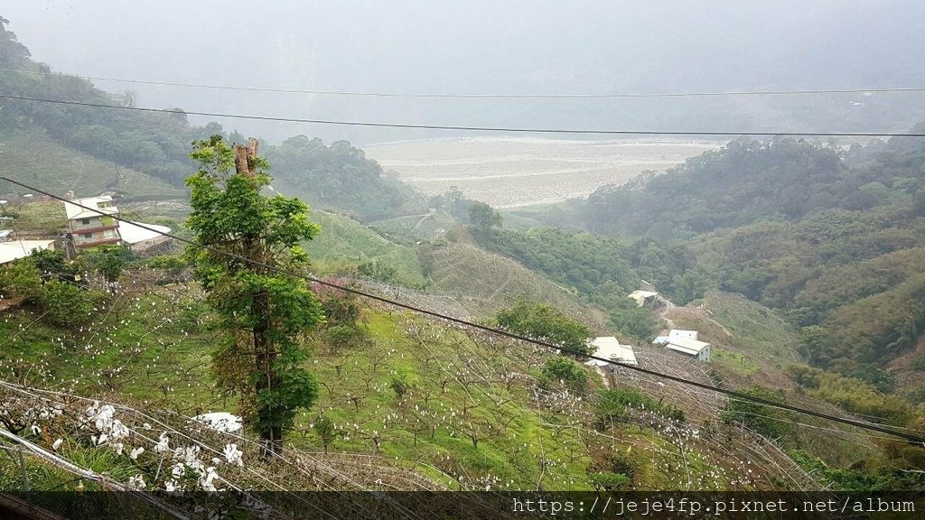 20151108 (18B) 東崎道路17.5Km處 [由摩天嶺俯瞰甜柿園 %26; 大安溪谷].jpg