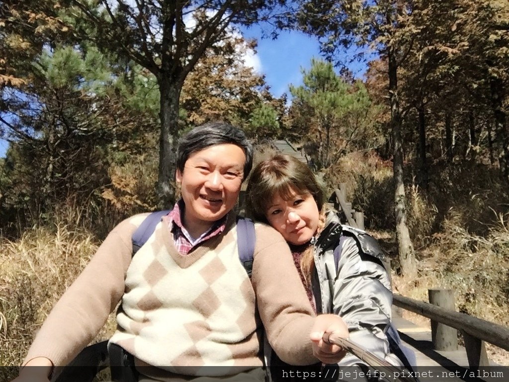 20160228 (150) 大鹿林道26Km處 [雪霸國家公園雲霧步道].jpg