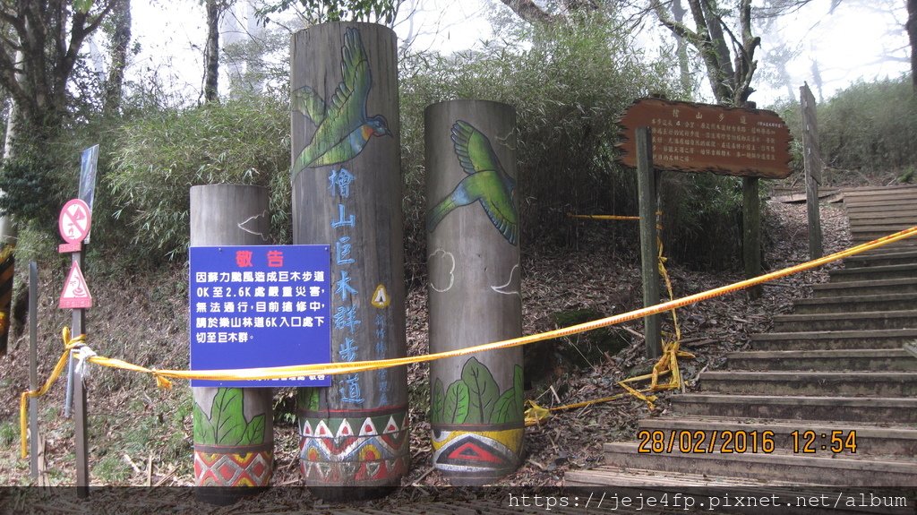 20160228 (161) 樂山林道1.2Km處 [雪霸國家公園 (檜山巨木步道入口)].JPG