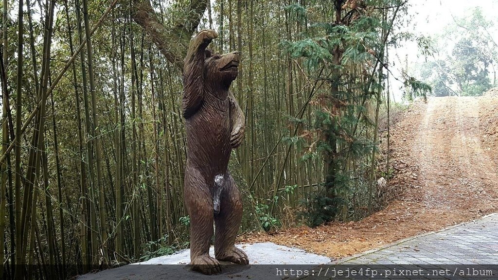 20151122 (10) 司馬限林道15.3Km處 [前往丸田砲台%26;二本松解說站的步道途中].jpg