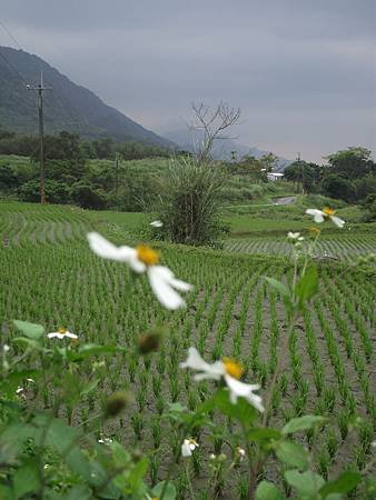 DSCF0229.JPG