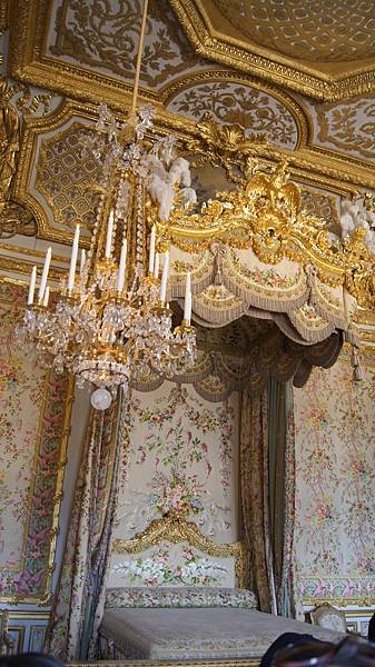 DSC00511.jpg
