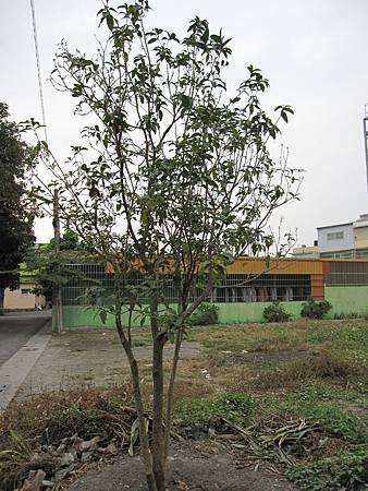 030324 296