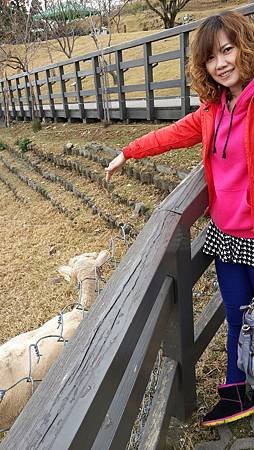 20131215_123037.jpg