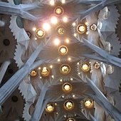 IMG_0125