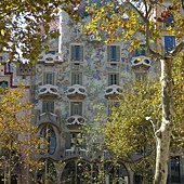IMG_0018