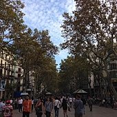 IMG_2352 - Copy