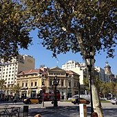 IMG_2311