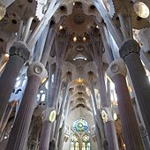 IMG_0141