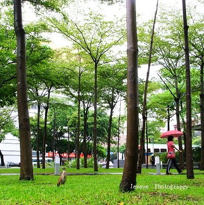 228公園990831