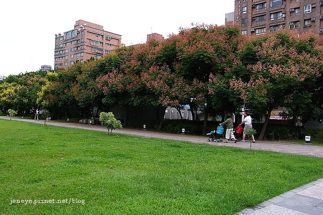 R0031940.jpg