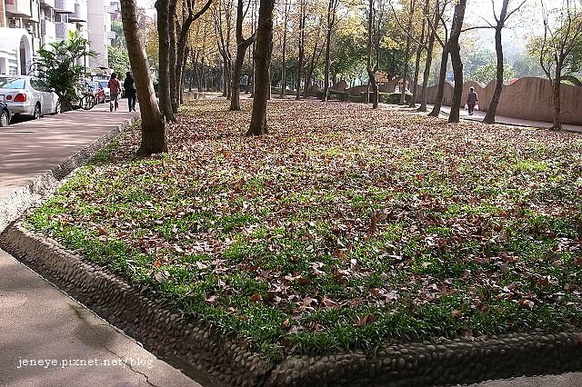 R0035098.jpg