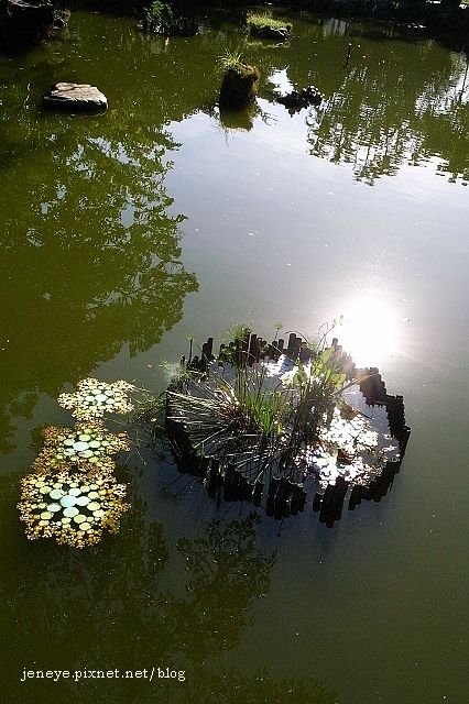 228公園 991110