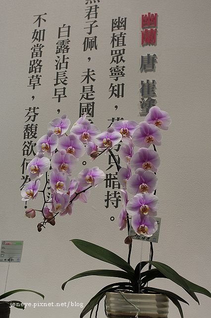 IMG_8925.jpg