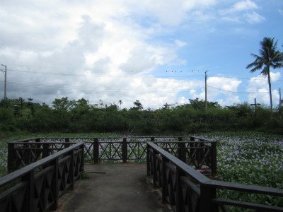 外3