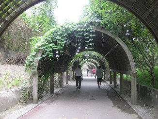 台東森林公園s.jpg
