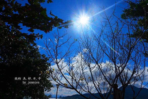 SAM_7307_副本.jpg