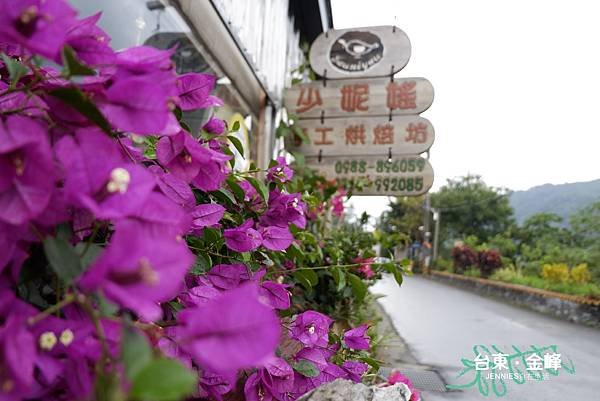_DSF7920_副本.jpg