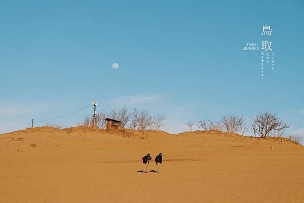 我想自由的飛｜日本旅遊 鳥取砂丘 回到靈魂的原點